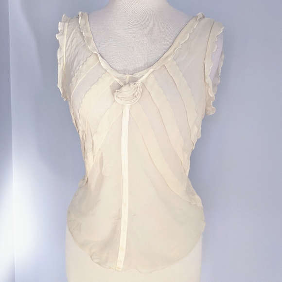 BCBG Tops - B C B G - Silk Sheer Camisole